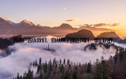 养殖户告诉我们, 自从用了绿色饲料, 他们的养殖成本降低了, 产品质量提高了, 连村里的环境都变得干净了