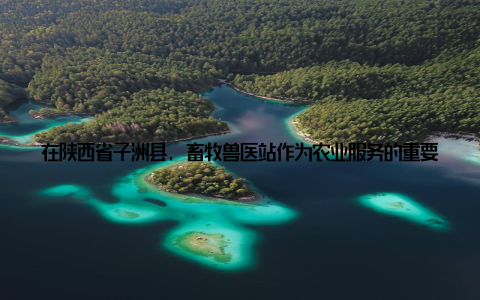在陕西省子洲县, 畜牧兽医站作为农业服务的重要窗口, 正以其专业、高效的服务, 为乡村振兴注入新的活力