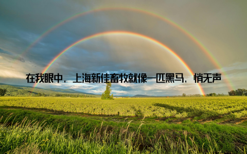 在我眼中, 上海新佳畜牧就像一匹黑马, 悄无声息地闯入了畜牧行业, 却以惊人的速度崛起, 成为了行业的新宠