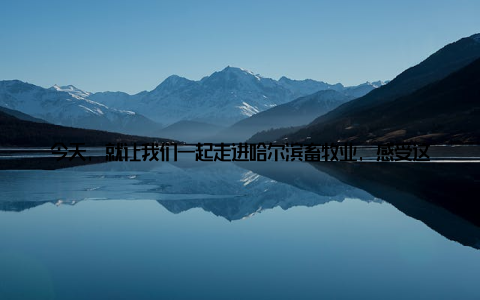 今天, 就让我们一起走进哈尔滨畜牧业, 感受这片绿色浪潮带来的魅力吧! 一、绿色养殖, 哈尔滨畜牧业的破茧成蝶哈尔滨畜牧业, 一直以其独特的地理优势和丰富的自然资源而闻名