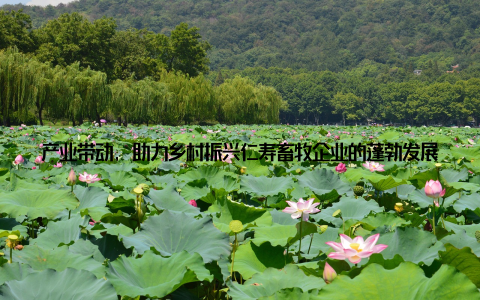 产业带动, 助力乡村振兴仁寿畜牧企业的蓬勃发展, 带动了当地农业产业结构调整, 为农民增收致富提供了新的途径