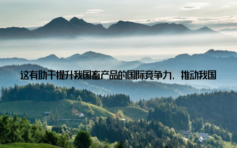 这有助于提升我国畜产品的国际竞争力, 推动我国畜牧业走向世界三、国隆畜牧业为年轻人打开广阔天地国隆畜牧业的崛起, 为年轻人提供了广阔的发展空间