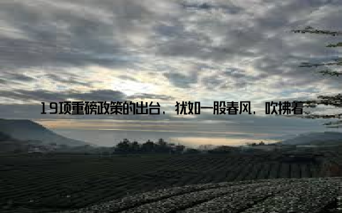 19项重磅政策的出台, 犹如一股春风, 吹拂着畜牧业的每一个角落, 为产业的升级与可持续发展注入了强大的动力