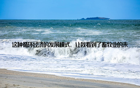 这种循环经济的发展模式, 让我看到了畜牧业的未来希望在研究全球畜牧数据的过程中, 我遇到了许多养殖户, 他们的故事让我深受感动
