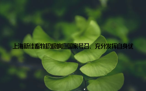 上海新佳畜牧积极响应国家号召, 充分发挥自身优势, 助力乡村振兴战略全面实施上海新佳畜牧, 携手共筑乡村振兴梦上海新佳畜牧深知, 乡村振兴离不开每一个人的努力