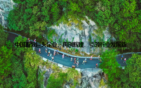 中国畜牧巨头企业, 再创辉煌, 引领行业发展新篇章 中国畜牧公司的成功并非偶然, 而是源于他们对行业的深刻理解和对未来的坚定信念