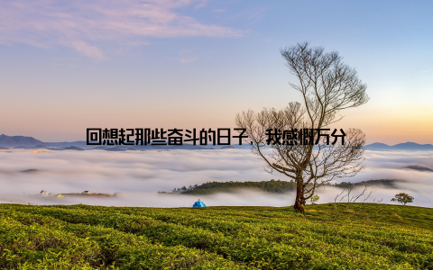 回想起那些奋斗的日子, 我感慨万分