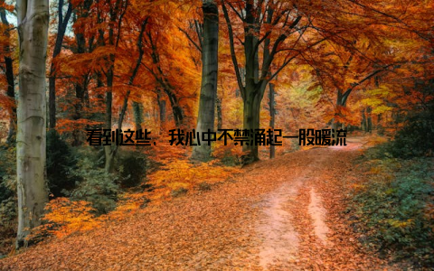 看到这些, 我心中不禁涌起一股暖流