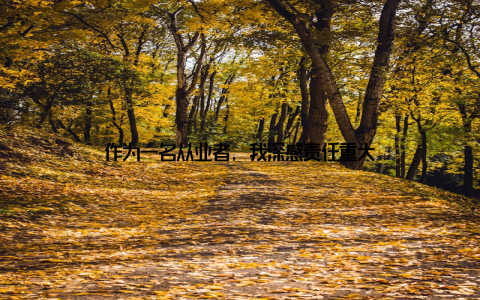 作为一名从业者, 我深感责任重大