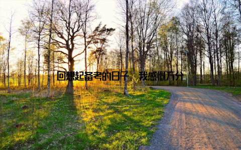 回想起备考的日子, 我感慨万分