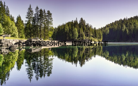 拓展国内外市场, 提高市场占有率