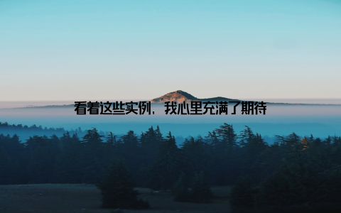看着这些实例, 我心里充满了期待