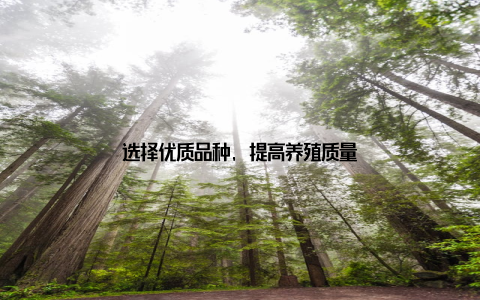 选择优质品种, 提高养殖质量