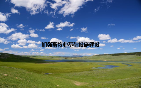 加强畜牧业基础设施建设