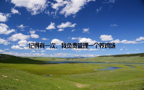 记得有一次, 我负责管理一个养鸡场