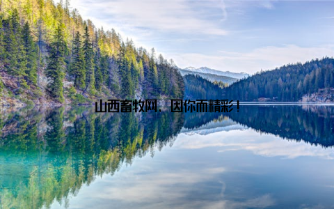 山西畜牧网, 因你而精彩!