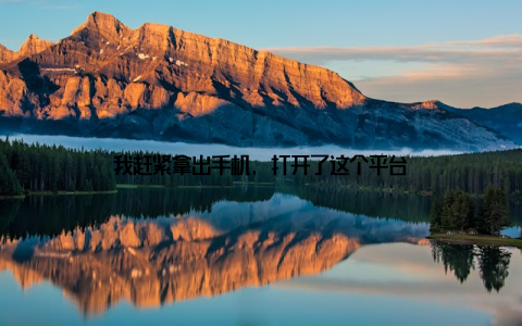 我赶紧拿出手机, 打开了这个平台