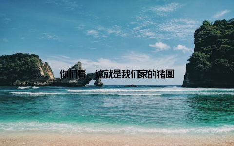 你们看, 这就是我们家的猪圈