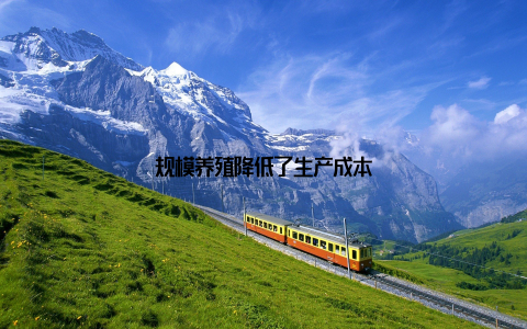 规模养殖降低了生产成本