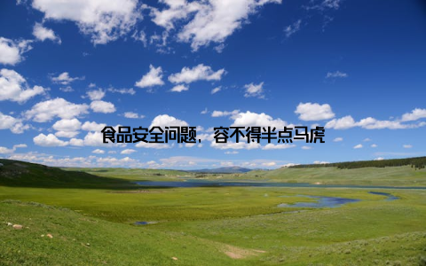 食品安全问题, 容不得半点马虎