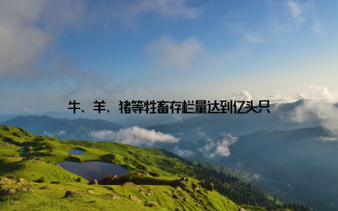 牛、羊、猪等牲畜存栏量达到亿头只