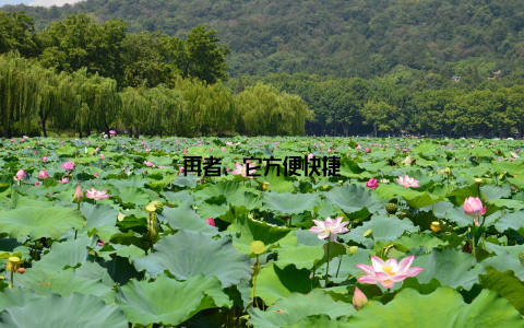 再者, 它方便快捷