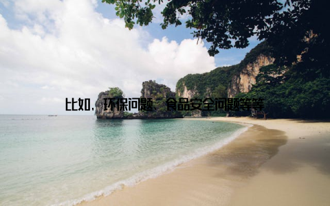 比如, 环保问题、食品安全问题等等