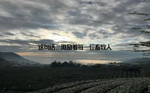 这句话, 激励着每一位畜牧人