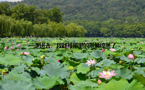 一走进去, 我就被那里的景象惊呆了