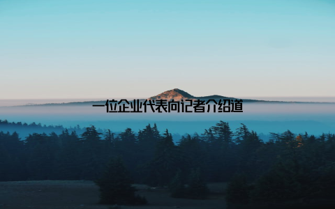 一位企业代表向记者介绍道