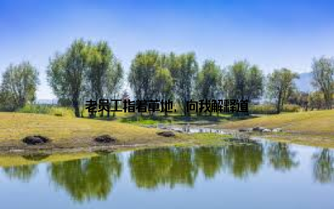 老员工指着草地, 向我解释道