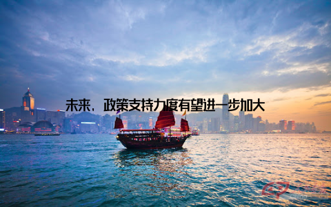 未来, 政策支持力度有望进一步加大