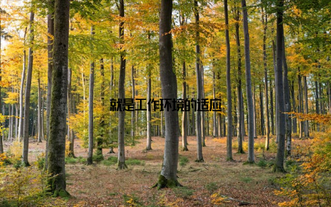 就是工作环境的适应