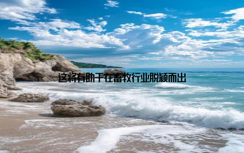 这将有助于在畜牧行业脱颖而出