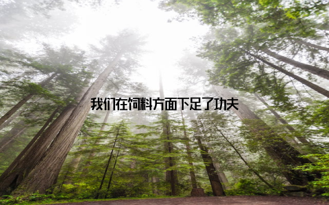 我们在饲料方面下足了功夫