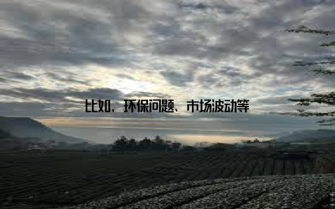 比如, 环保问题、市场波动等