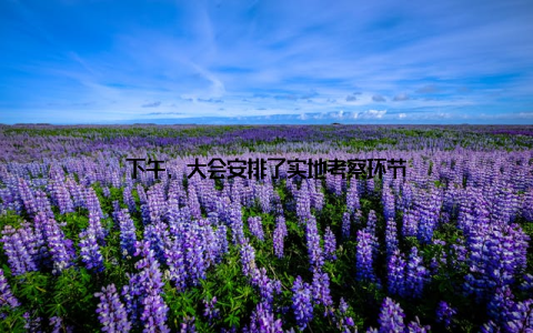 下午, 大会安排了实地考察环节