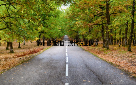 我们积极推广现代农业模式