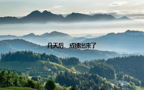 几天后, 成绩出来了