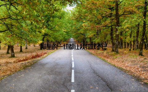 那里的一切都让我惊叹不已