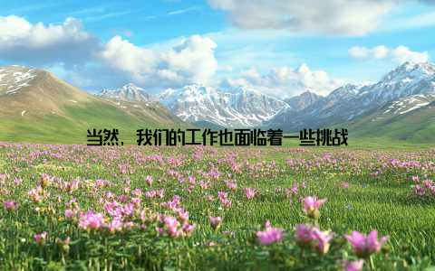 当然, 我们的工作也面临着一些挑战