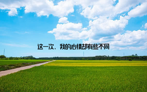 这一次, 我的心情却有些不同