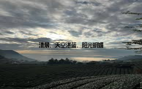 清晨, 天空湛蓝, 阳光明媚