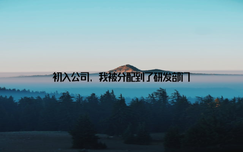 初入公司, 我被分配到了研发部门