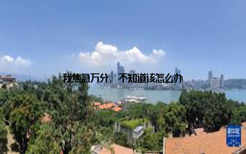 我焦急万分, 不知道该怎么办