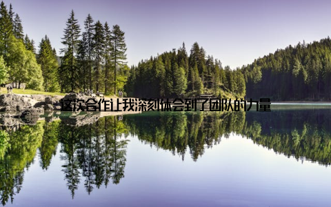 这次合作让我深刻体会到了团队的力量