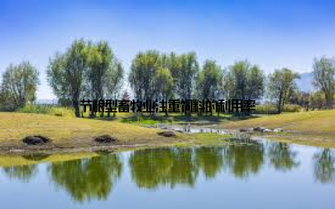 节粮型畜牧业注重饲料的利用率