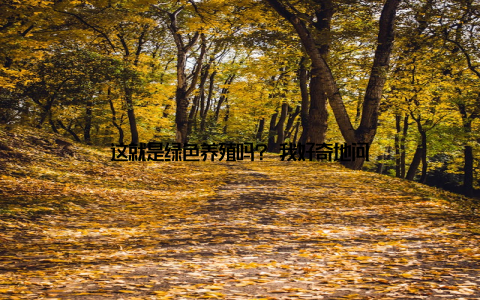 这就是绿色养殖吗? 我好奇地问