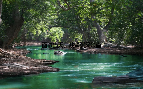 面试当天, 我紧张又兴奋