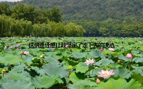 这份责任感让我坚定了走下去的决心